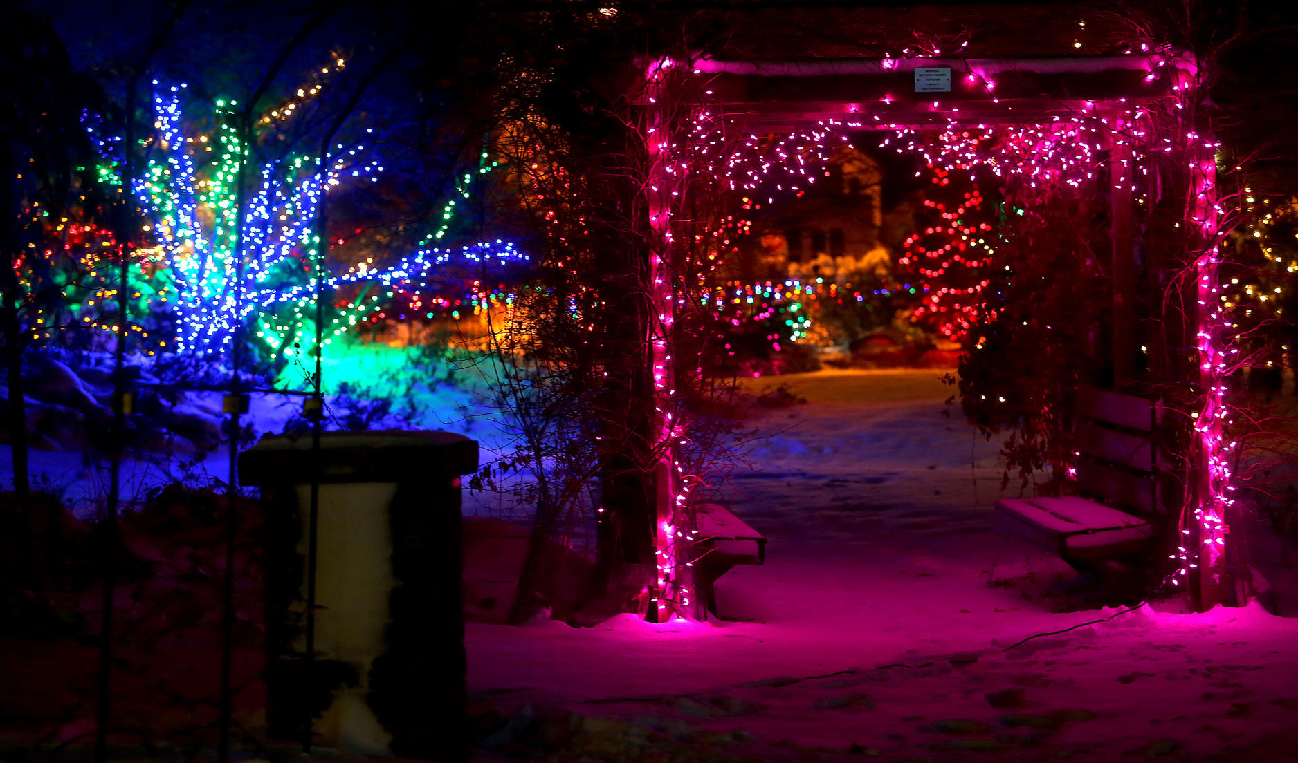 112718-botanical-lights-026